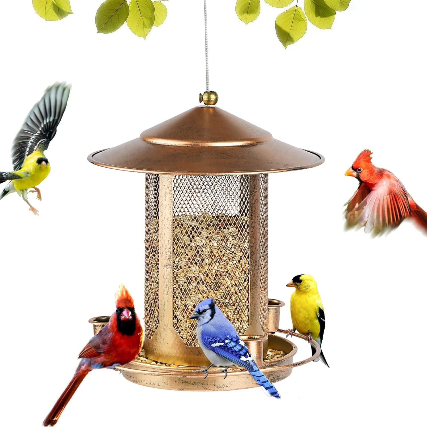 , Heavy Duty Bird Feeders For Outdoors, Metal Iron Mesh Squi
