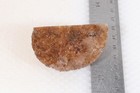Morocco Agate lapidary 3.8 oz  Nodule faced rough lot Av — photo 9