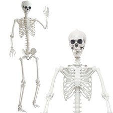 7.9Ft/240cm Halloween Giant Skeleton Life Size Skeleton Full Body Plastic Hum...
