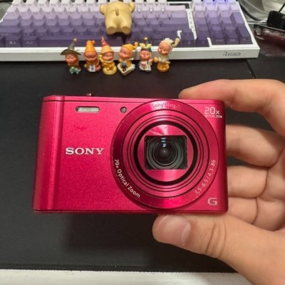 SONY Cyber-Shot DSC-WX300 Digital Camera 18.2MP 20x Optical Zoom