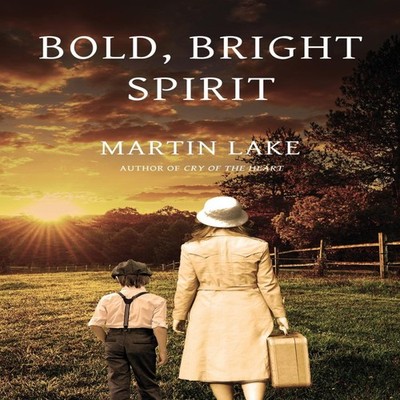 Bold Bright Spirit a compelling story of courage and resilience i