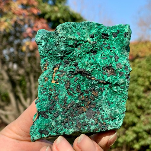 219G Natural VELVET Malachite cat's eye specimen crystal rough mineral-Congo - Picture 2 of 24