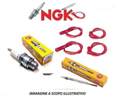 4578 Spark Plug (NGK NTK)