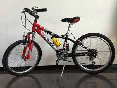 Bicicletta MTB Nuzzi, mod. Rock Rabbit two, cambio Shimano | eBay