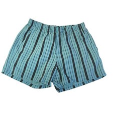 Vtg 80's Sun Force Men AQUA Blue STRIPE Cotton Trunks SURFER Beach Swim Shorts L