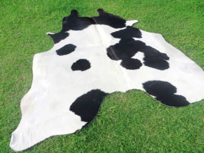 BIG ! NEW ! BLACK & WHITE Cowhide Rug natural Cowhides Cow Hide Skin 6X6 FEET BS