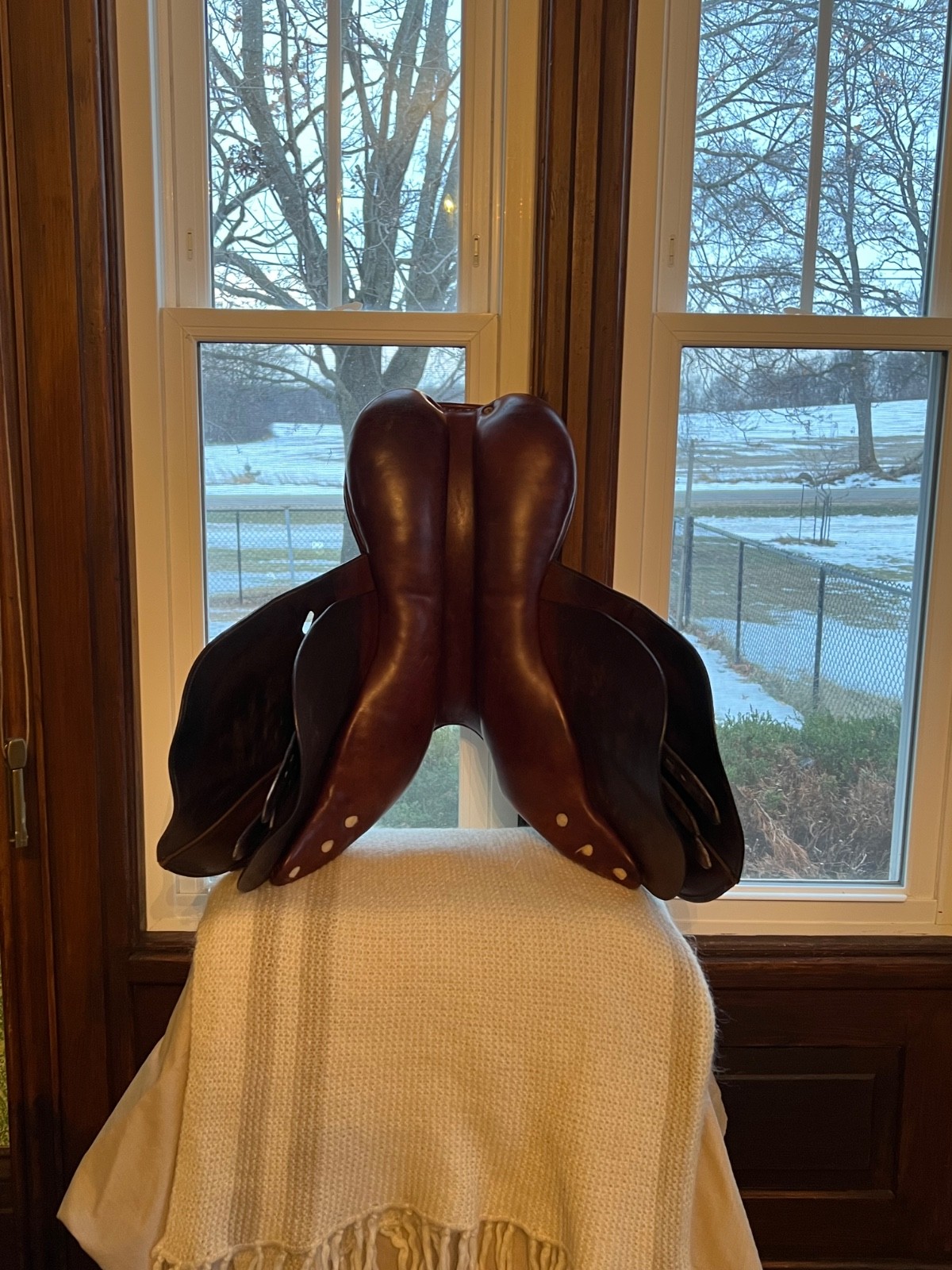 Barnsby English Saddle 17.5 " inch Jump Jumping close contact puffy knee England