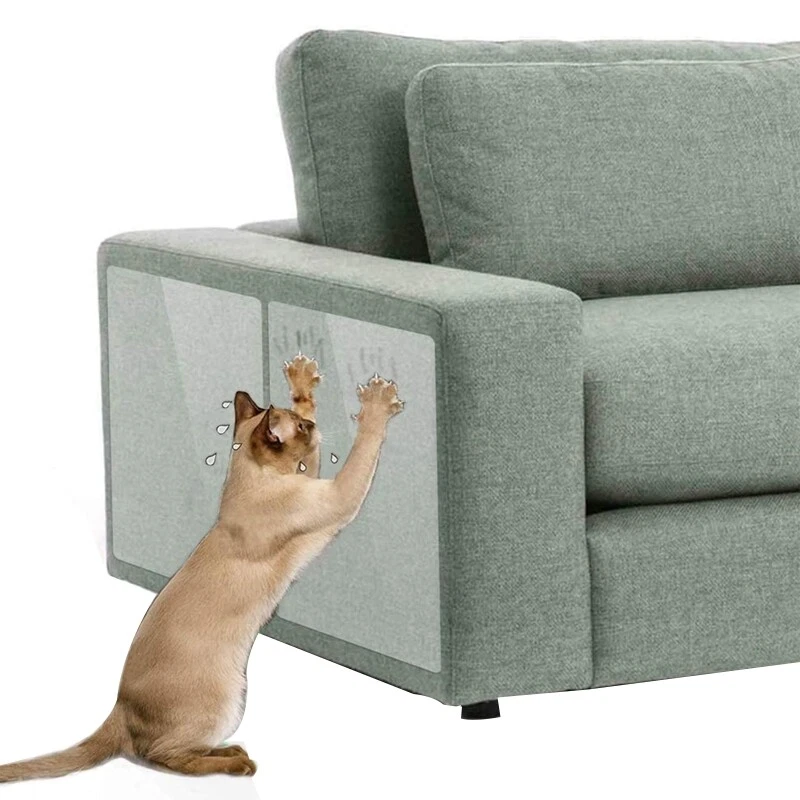 Protect your couch top from cat scratches