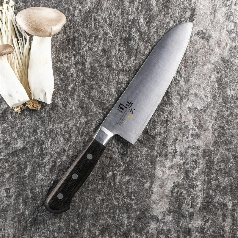 KAI knife set Santoku 6.5in 165mm Diamond ceramic Sharpener AE5151 AP0308 AOFUJI - Image 2 of 4