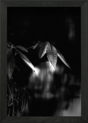 Echoes of Light - A Study in Shadow Gerahmtes Wandbild Poster Leinwanddruck Bild