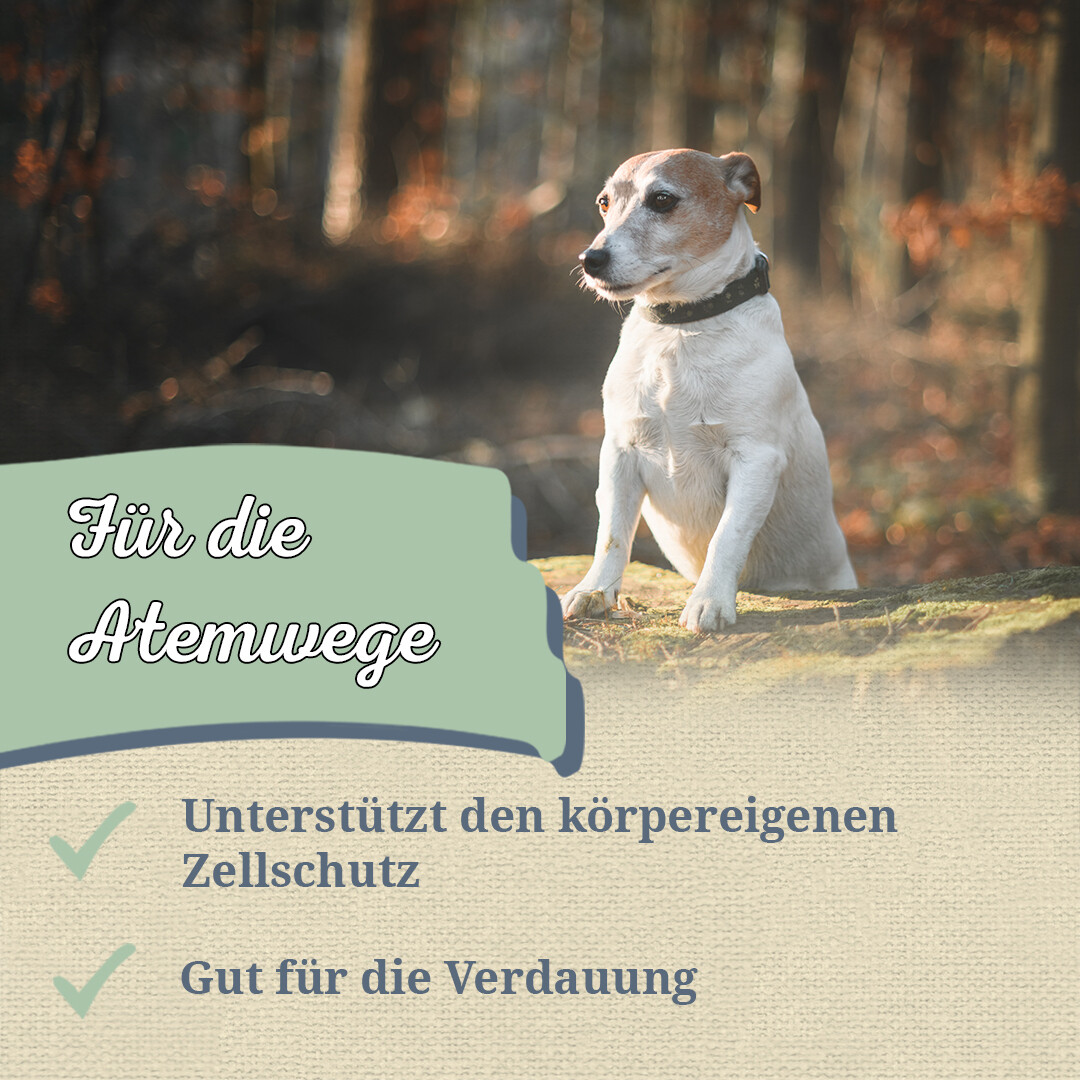 Bild 3 von 7