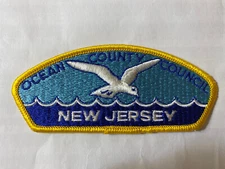 MINT CSP Ocean County Council New Jersey S-1