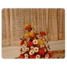 Carnation and Daisy Flowers - 1970s Snapshot - Still Life Arrangement Decor