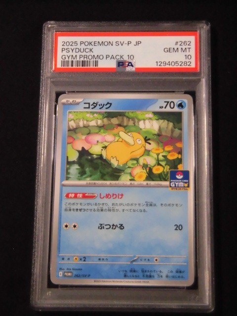 PSA 10 Pokemon Card Psyduck Golduck GYM Promo SEQ set 262/SV-P