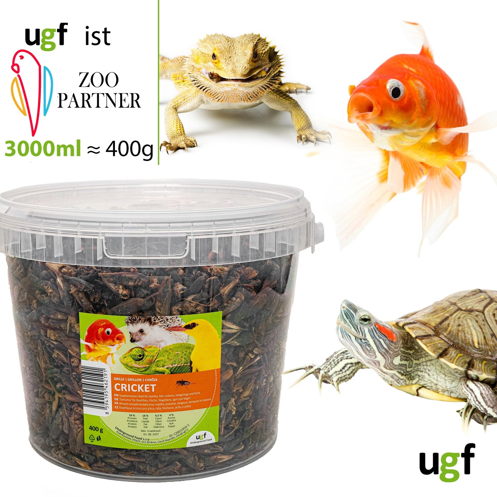 Grillons séchés nourriture insectes alternative propre sans odeur