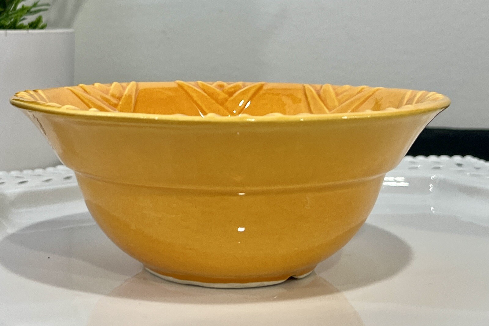 Foto 1 di 7