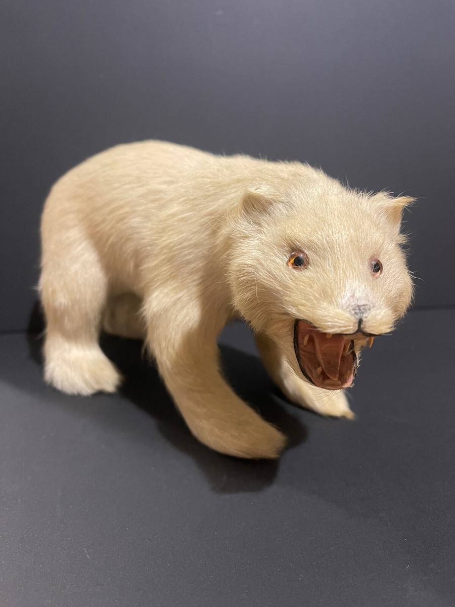 Ours polaire d'hiver, 30 cm, blanc