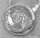 Panthera Tigris - 1oz .999 distressed antiqued silver Laos coin