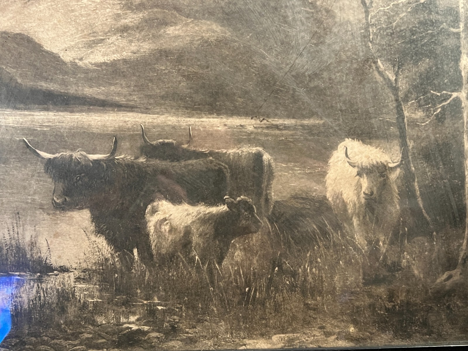 ANTIQUE LITHOGRAPH FRAMED PRINT WOOD FRAME DOUGLAS GRAHAM HIGHLAND COWS