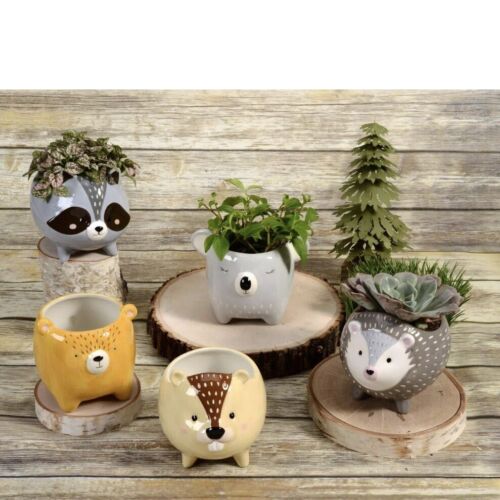 Ceramic Beaver Planter Cute Animal Plants Streamline - Picture 3 of 7