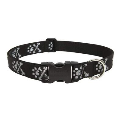 Lupine Dog Collar 1'' Wide Bling Bonz Adjusts from 12'' to 20''