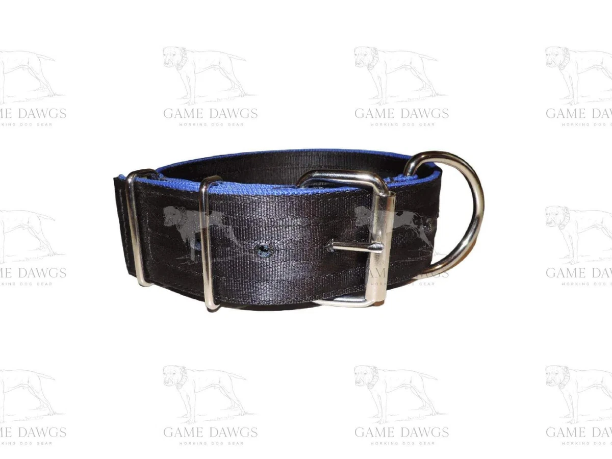 2u0026#034; HEAVY DUTY 4 PLY SEAT BELT DOG COLLAR WELDED HARDWARE * APBT * PIT  BULL | eBay