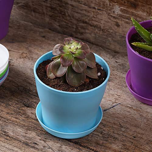 10 Pcs Plastic Indoor Flower Plant Pots, Pots with Pallet, have drainage hole. - Picture 2 of 7