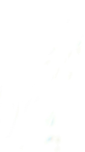 POL Paisley Embroidered Bell Sleeve Tunic Swing Top Dress Jersey Knit Women Sz S - Bild 12 von 12