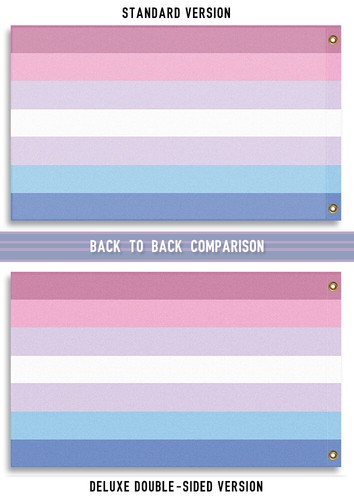 BiGender Pride Flag, Nonbinary Gender Identity LGBTQ LGBTQIA LGBTQX Equality - Picture 3 of 3