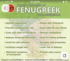 Fenugreek  200 Seeds -NON GMO-Open Pollinated