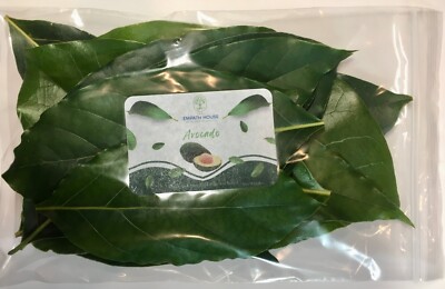 Fresh Avocado Leaves Herbal Tea 100% Organic Florida Grown USA