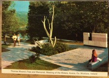 Irish Postcard Thomas Moore's Tree Meet Waters AVOCA Wicklow Ireland Cardall 145