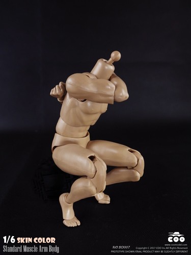 Coomodel 1/6 Stecker Standard Muscle BD008 Actionfigur Körperpuppe 12" Modellspielzeug - Bild 13 von 24