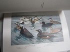 Picture 4 of 10