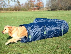 agility training tunnel for dogs
