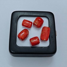 Natural Italian Red Coral Oval Shape Loose Ca...