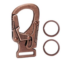 Carabiner Clip,1.9'' Alloy Car Keychain Clip with 2 Key Ring,Outdoor Hooks,Sm...