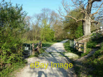 Photo 6x4 Cattle grid, Cobham Park This is a public footpath, but clearly c2011
