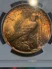1922D $1 Peace Silver Dollar NGC MS63 Toned Dual Sided 🌈🌅