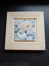 Moderne Muschel Wandbilder 29x29cm Holzrahmen sehr guter Zustand