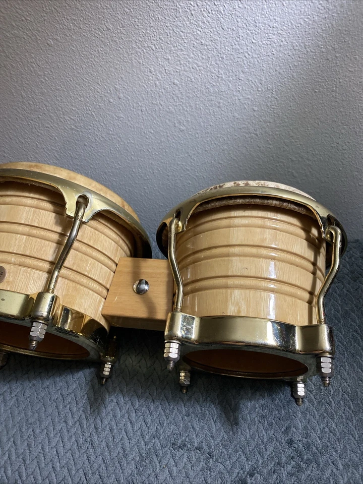 Modelo Profesional Bongo (LP Generación 2) Foto 2 de 4