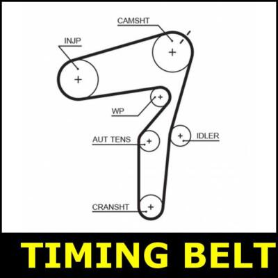 Timing Belt Cam Fits Alfa SPIDER 939 2.0 2.4 SX3265