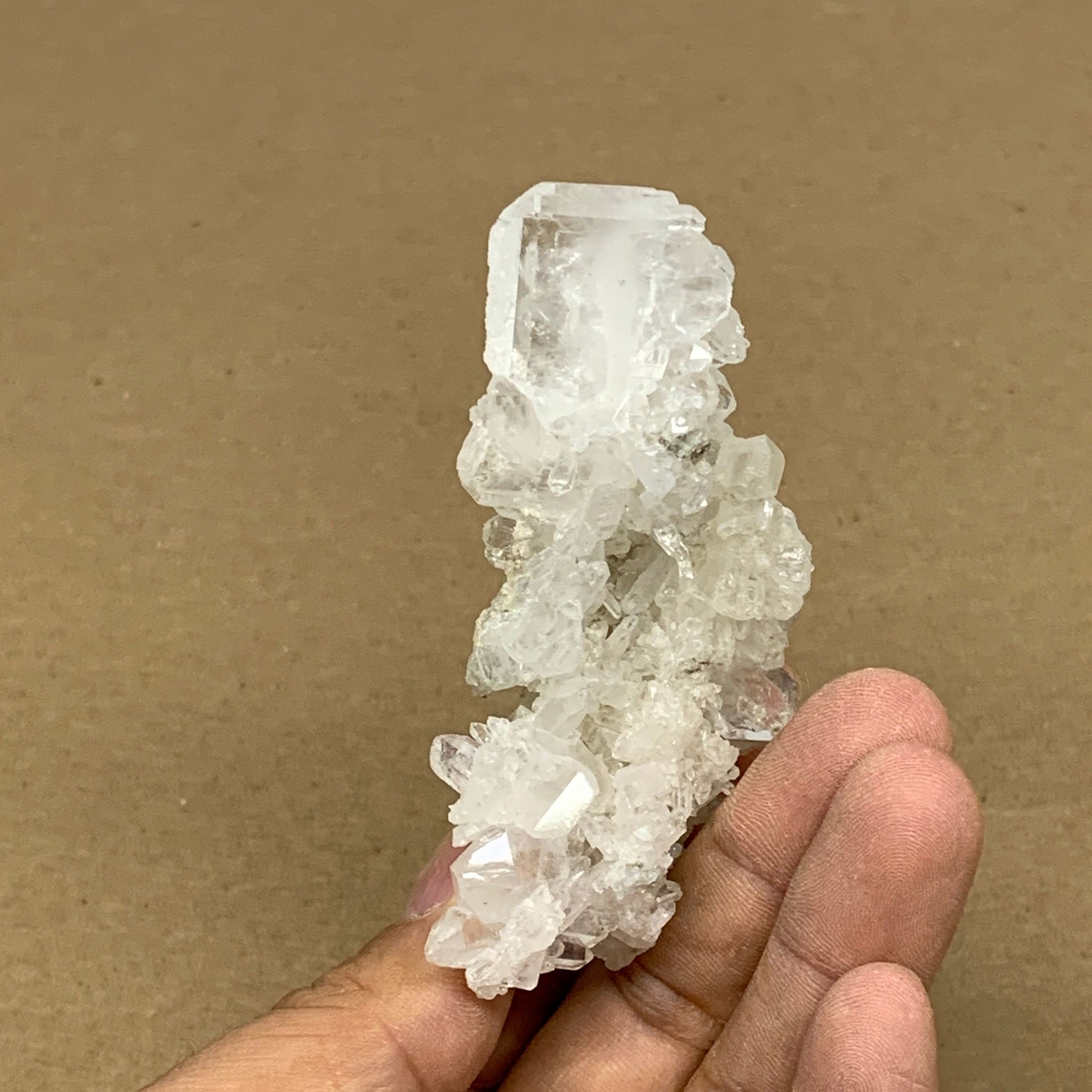 Picture 4 of 10