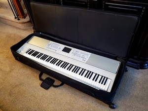 LARGE ROAD RUNNER KEYBOARD/SYNTHESIZER TRAVEL CARRYING CASE W/WHEELS