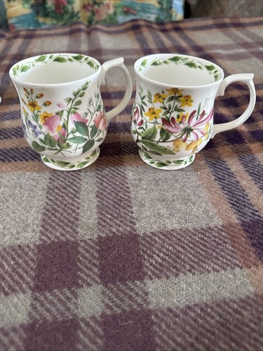 Queen's The Royal Horticultural Society The Garden Collection 4 Cups Mugs - Picture 7 of 12