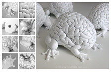 Jumping Brain Frog X Bianco Vuoto X Emilio Garcia X 5 Pollici X Portatile X Toy2R