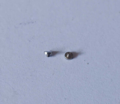 LANDERON CAL. 248, 187 HERZHEBELBEGRENZUNGS- SCHRAUBE PART No. 58220¹  ~NOS~