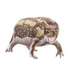 1/1 Size Figure Bushveld Rain Frog Brown Whit...
