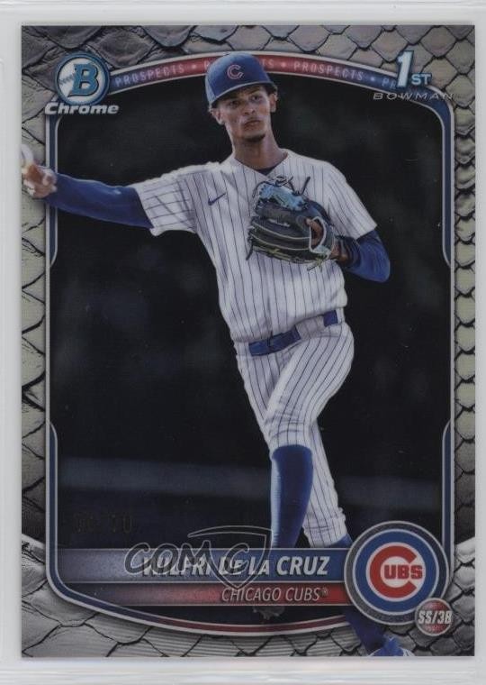 2025 Bowman Chrome Black Reptilian Refractor /10 Wilfri De La Cruz #BCP-209 0ui7