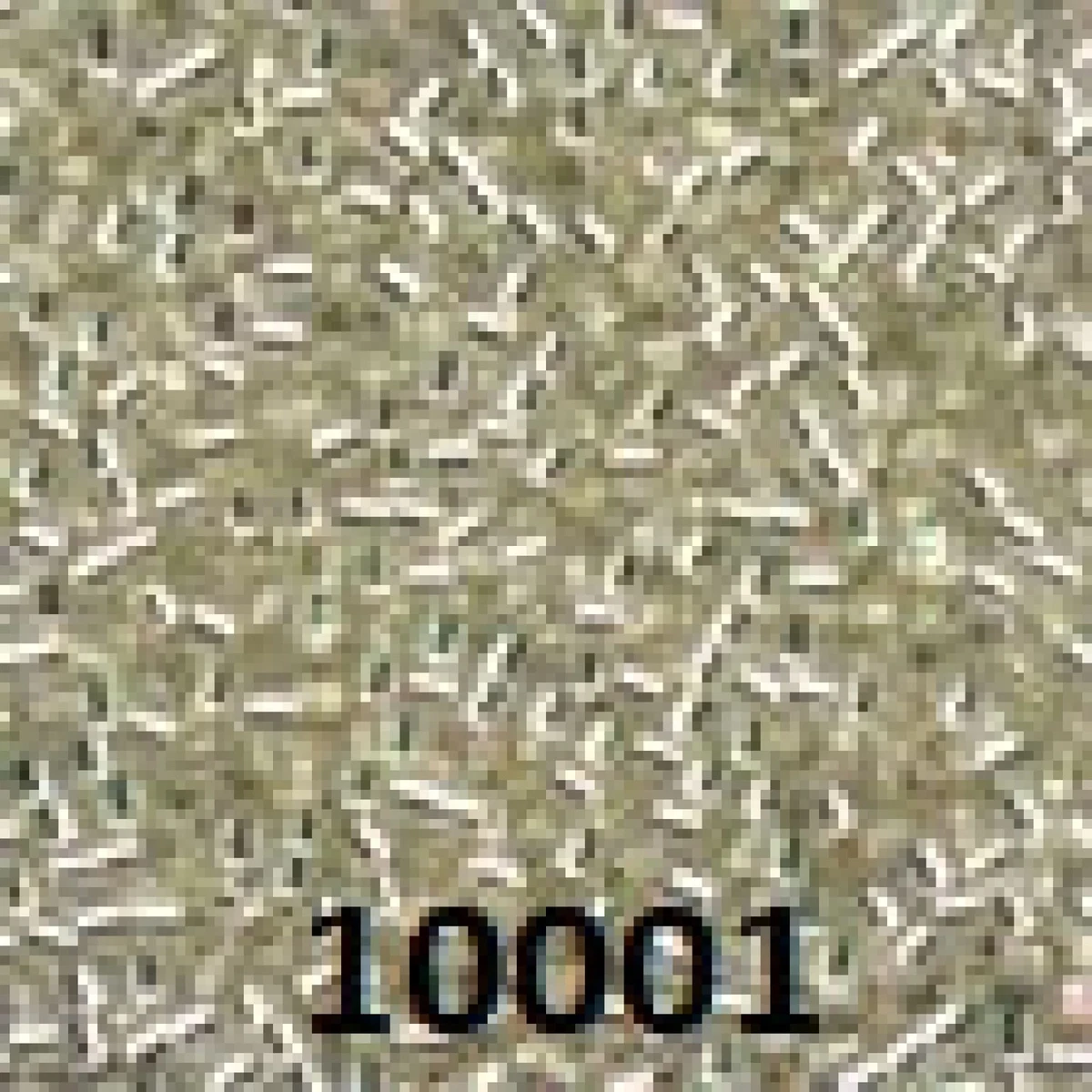 Cuentas De Vidrio De Mill Hill, Oro Victoriano On